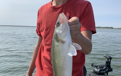 Lake Sakakawea and Devils Lake Fishing Report-August, 22nd, 2021