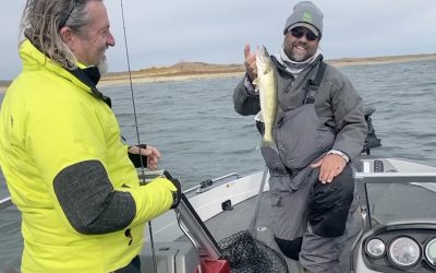 Lake Sakakawea and Missouri River Fishing Report-October 16th, 2021