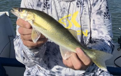 Fish Condition on the Missouri River-October 21, 2021