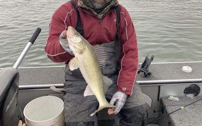 Missouri River Fishing Report-December 5th, 2021