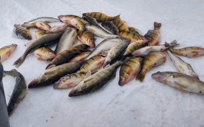 Devils lake Ice Fishing Report-February 20th, 2022