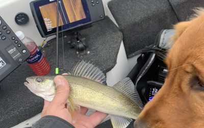 Missouri River Mid Week Fishing Report-October 5th, 2022