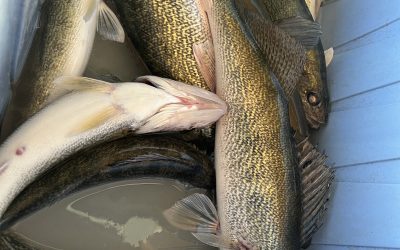 Missouri River Fishing Report-May 21st, 2023