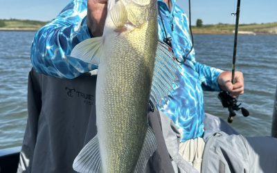 Lake Sakakawea Fishing Report-July 9th, 2023