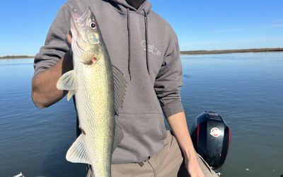Missouri River Fishing Report-October 22nd, 2023