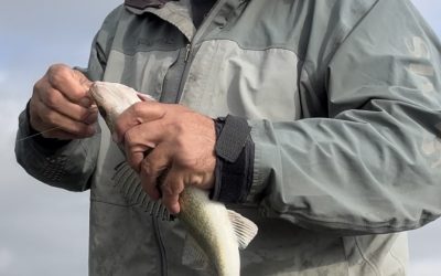 Missouri River Fishing Report-October 8th, 2022